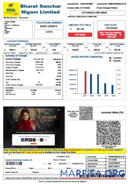 Realistic India Bharat Sanchar Nigam Limited utility bill template in Word and PDF formats, version 3